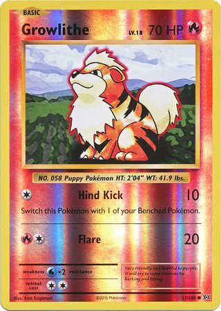 Growlithe - 17/108 - Common - Card Masters