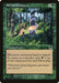 Image for Elvish Guidance (255) (Onslaught) (ONS) - Magic: The Gathering