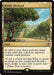Image for Exotic Orchard (295) (Commander 2016) (C16) - Magic: The Gathering