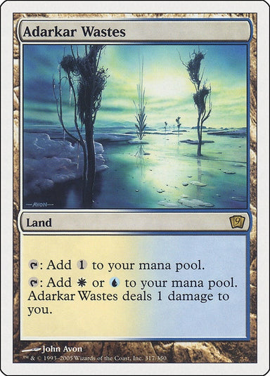 Image for Adarkar Wastes (317) (9th Edition) (9ED) - Magic: The Gathering