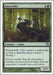 Image for Anaconda (229) (9th Edition) (9ED) - Magic: The Gathering