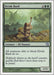 Image for Elvish Bard (236) (9th Edition) (9ED) - Magic: The Gathering