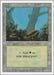 Image for Forest (A) (284) (Revised Edition) (3ED) - Magic: The Gathering