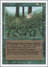 Image for Kudzu (Revised Edition) (3ED) - Magic: The Gathering