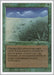 Image for Lifelace (Revised Edition) (3ED) - Magic: The Gathering