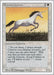 Image for Pearled Unicorn (Revised Edition) (3ED) - Magic: The Gathering