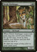 Image for Elvish Harbinger (207) (Lorwyn) (LRW) - Magic: The Gathering