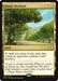 Image for Exotic Orchard (250) (Commander Anthology Volume II) (CM2) - Magic: The Gathering