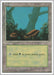 Image for Forest (A) (177) (Fourth Edition) (4ED) - Magic: The Gathering