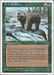 Image for Grizzly Bears (Fourth Edition) (4ED) - Magic: The Gathering