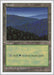 Image for Forest (447) (447) (Fifth Edition) (5ED) - Magic: The Gathering