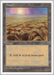 Image for Plains (432) (432) (Fifth Edition) (5ED) - Magic: The Gathering