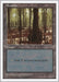 Image for Swamp (439) (439) (Fifth Edition) (5ED) - Magic: The Gathering