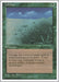 Image for Lifelace (Fourth Edition) (4ED) - Magic: The Gathering