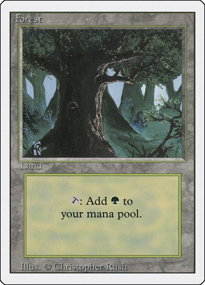 Image for Forest (C) (285) (Revised Edition) (3ED) - Magic: The Gathering