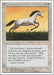 Image for Pearled Unicorn (Fourth Edition) (4ED) - Magic: The Gathering