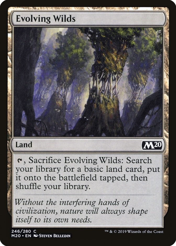 Image for Evolving Wilds (246) (Core Set 2020) (M20) - Magic: The Gathering