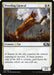 Image for Prowling Caracal (309) (Core Set 2020) (M20) - Magic: The Gathering
