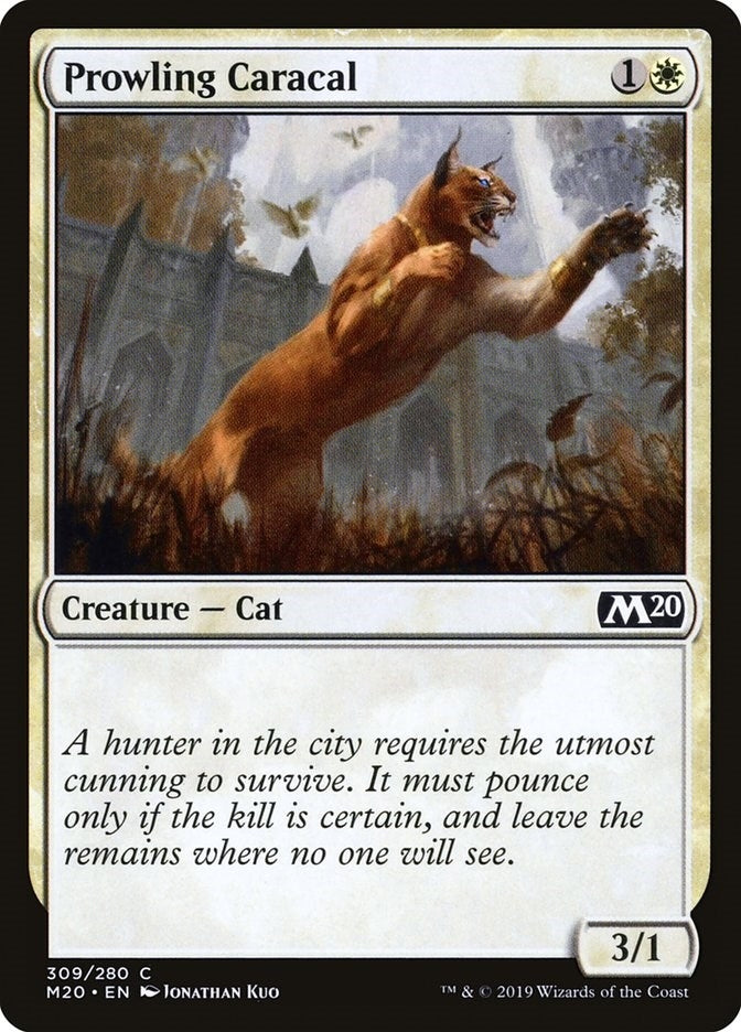 Image for Prowling Caracal (309) (Core Set 2020) (M20) - Magic: The Gathering