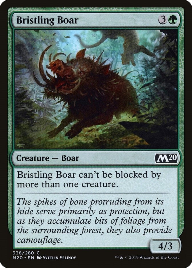 Image for Bristling Boar (338) (Core Set 2020) (M20) - Magic: The Gathering