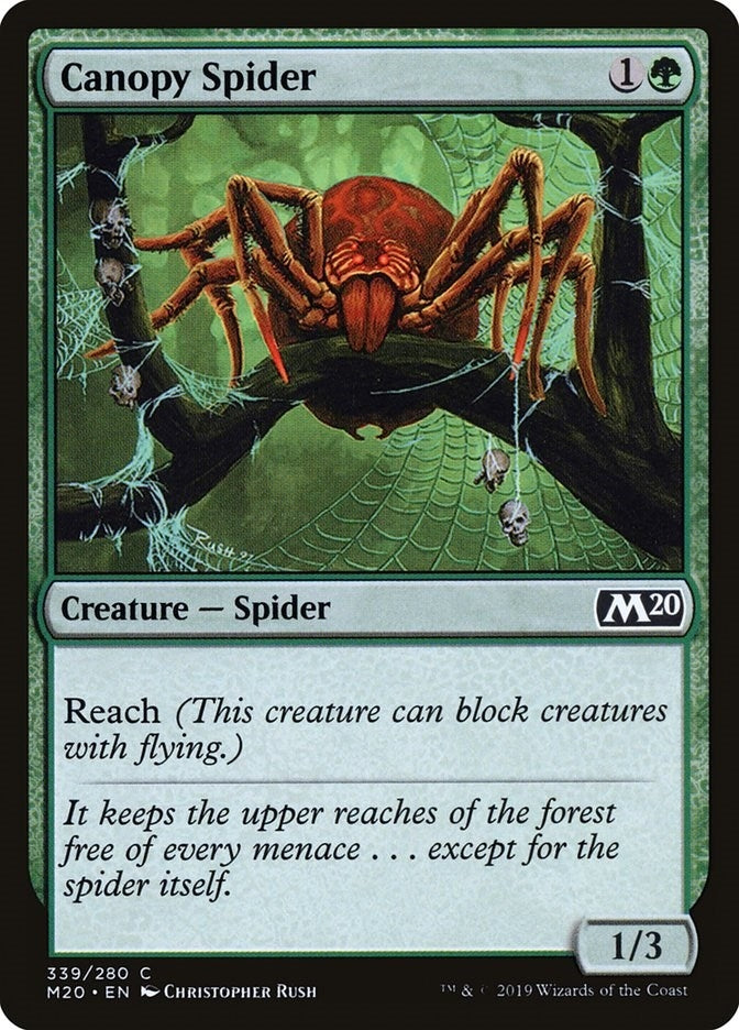 Image for Canopy Spider (339) (Core Set 2020) (M20) - Magic: The Gathering