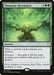 Image for Shamanic Revelation (180) (Commander 2019) - Magic: The Gathering