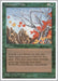 Image for Untamed Wilds (Fourth Edition) (4ED) - Magic: The Gathering