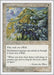 Image for Animate Wall (Fifth Edition) (5ED) - Magic: The Gathering