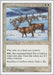 Image for Caribou Range (Fifth Edition) (5ED) - Magic: The Gathering