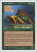 Image for Cat Warriors (Fifth Edition) (5ED) - Magic: The Gathering