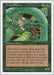 Image for Craw Wurm (Fifth Edition) (5ED) - Magic: The Gathering