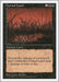 Image for Cursed Land (Fifth Edition) (5ED) - Magic: The Gathering