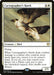Image for Cartographer's Hawk (24) (Commander 2020) (C20) - Magic: The Gathering