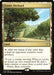 Image for Exotic Orchard (273) (Commander 2020) (C20) - Magic: The Gathering