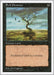 Image for Evil Presence (Fifth Edition) (5ED) - Magic: The Gathering