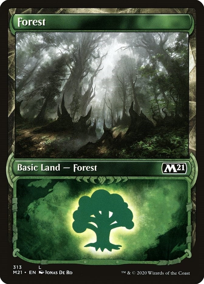 Image for Forest (Showcase) (313) (M21) - Magic: The Gathering