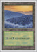 Image for Forest (449) (449) (Fifth Edition) (5ED) - Magic: The Gathering