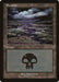 Image for Swamp - Camargue (15) (European Lands) (EURO) - Magic: The Gathering