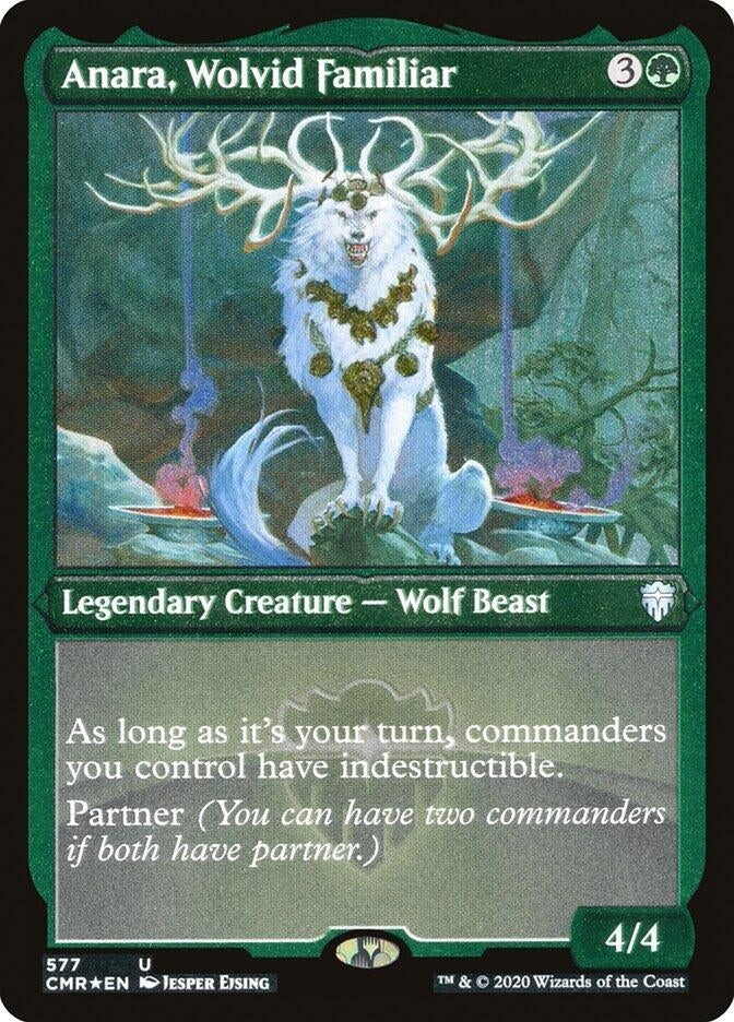 Image for Anara, Wolvid Familiar (Foil Etched) (577) (Commander Legends) (CMR) - Magic: The Gathering