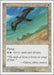 Image for Mesa Falcon (Fifth Edition) (5ED) - Magic: The Gathering