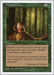 Image for Nature's Lore (Fifth Edition) (5ED) - Magic: The Gathering