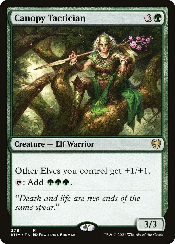 Canopy Tactician (378) (Kaldheim)