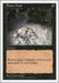 Image for Raise Dead (Fifth Edition) (5ED) - Magic: The Gathering