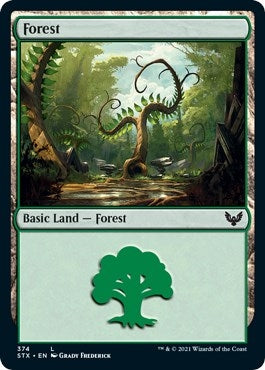 Image for Forest (374) (374) (Strixhaven: School of Mages) (STX) - Magic: The Gathering
