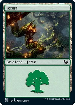 Image for Forest (375) (375) (Strixhaven: School of Mages) (STX) - Magic: The Gathering