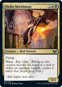Image for Owlin Shieldmage (210) (Strixhaven: School of Mages) (STX) - Magic: The Gathering
