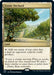 Image for Exotic Orchard (288) (Commander 2021) (C21) - Magic: The Gathering