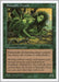 Image for Shanodin Dryads (Fifth Edition) (5ED) - Magic: The Gathering