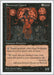 Image for Sorceress Queen (Fifth Edition) (5ED) - Magic: The Gathering