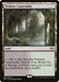 Image for Verdant Catacombs (260) (Modern Horizons 2) (MH2) - Magic: The Gathering